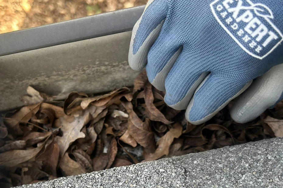 Shrewsbury Gutter Cleaning